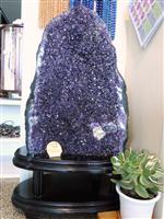 �V�R�΁E�p���[�X�g�[���̃E���O�A�C�Y�V�Q����